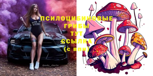 мяу мяу мука Верхний Тагил