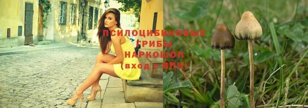мяу мяу мука Верхний Тагил