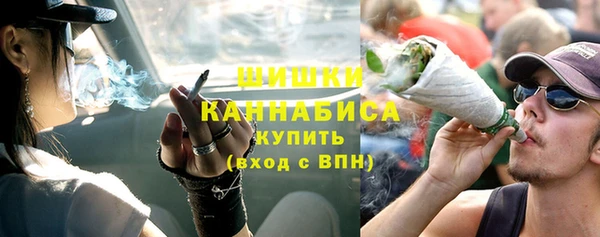 ПСИЛОЦИБИНОВЫЕ ГРИБЫ Верея