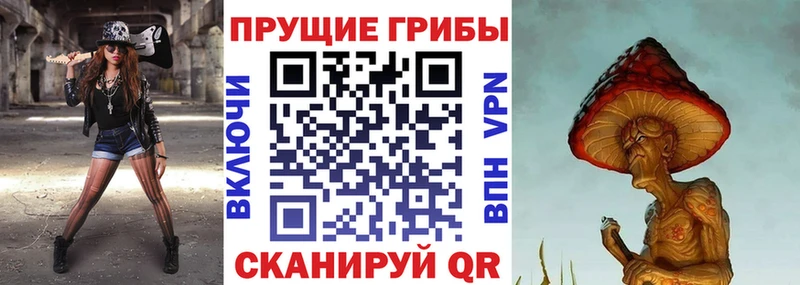 Галлюциногенные грибы мицелий  Пушкино 